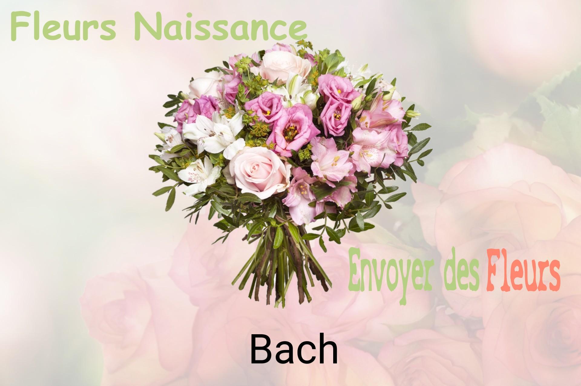 Bouquet de fleurs de naissance livré à Bach